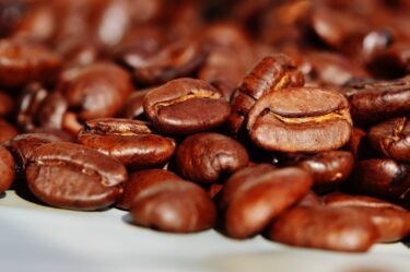 【全国のcoffee好き必見】全国的にも珍しい希少な沖縄県産コーヒー農園