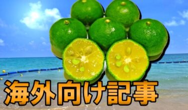 【沖繩外用產品】“Chimu-Dondon”沖繩縣 Shikuwasa Juice IKKO 也很受好評！
