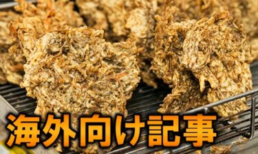 沖繩天婦羅日本推薦美食