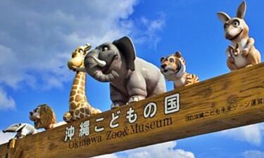 【沖縄こどもの国】沖縄県内で唯一の動物園 沖縄で遊ぶならココでしょ！