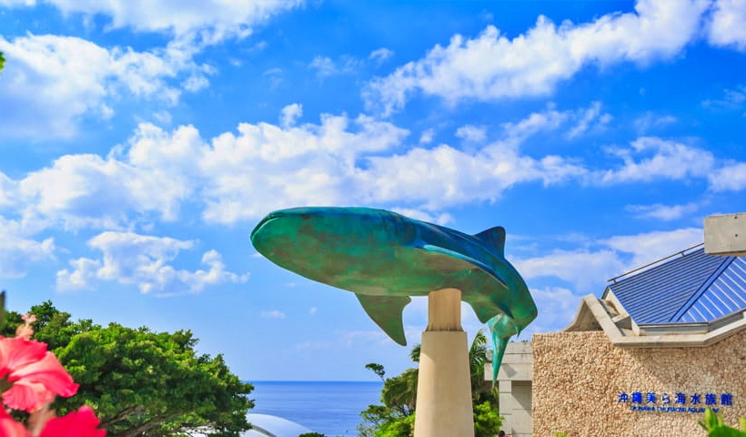 沖縄観光スポット沖縄美ら海水族館はおすすめ
