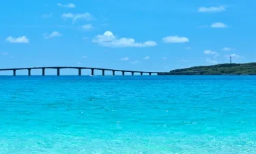 沖縄の海を安全に楽しむ