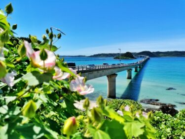 沖縄の楽しみ方知ってる？