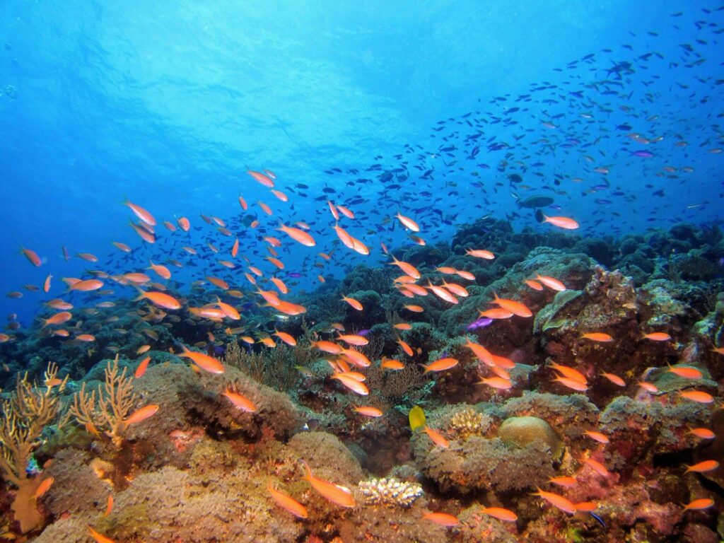 沖縄の海