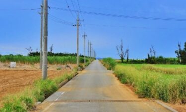 レンタカーなしで楽しむ沖縄旅の魅力