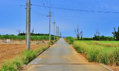 沖縄旅