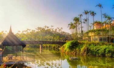 美らヤシパークオキナワ・東南植物楽園 自然とふれあう極上のひととき