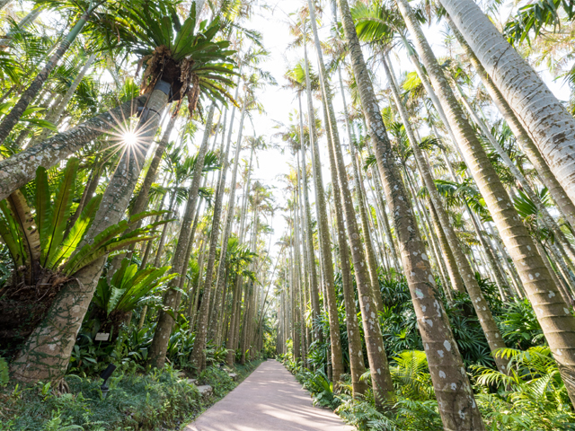 沖縄東南植物楽園