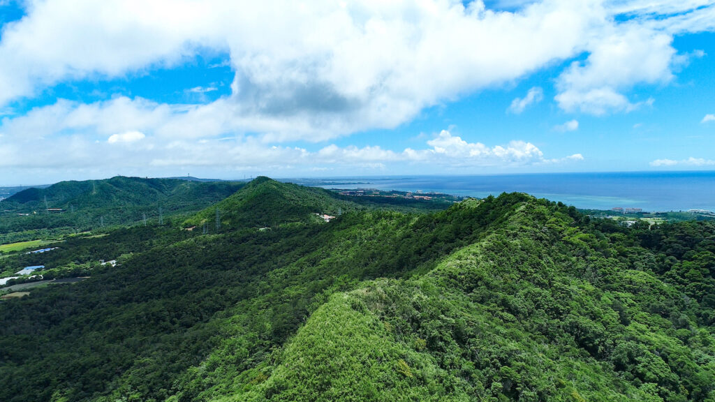 沖縄