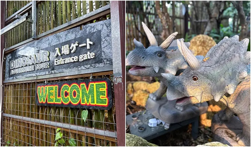 沖縄ナゴパイナップルパーク
