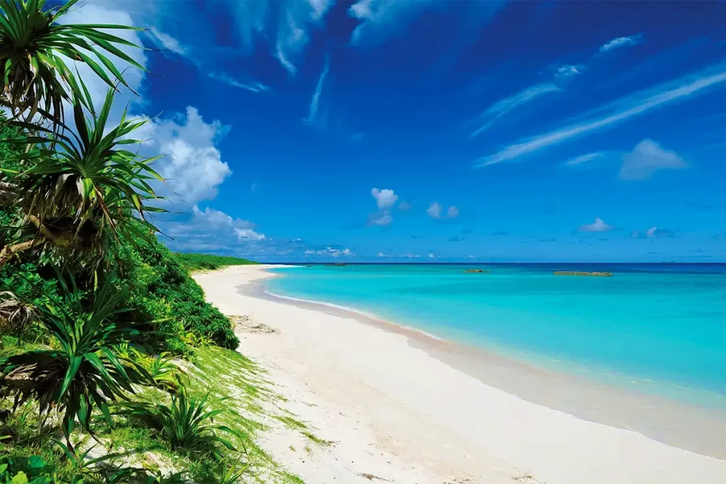 今日からすぐ幸せになれる魔法のドリンク