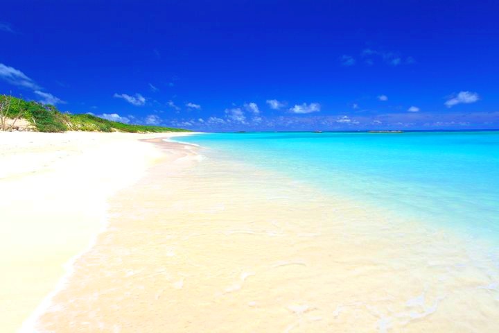 今日からすぐ幸せになれる魔法のドリンク