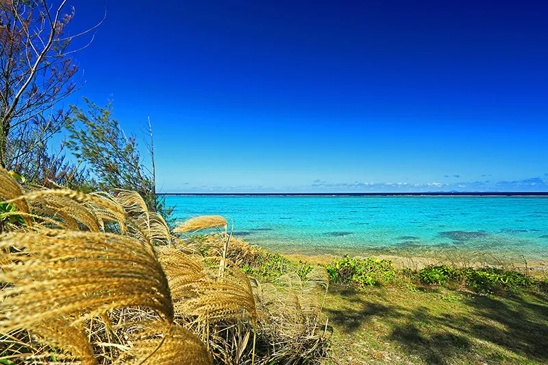 沖縄は超車社会