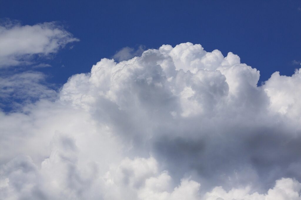 沖縄は超車社会