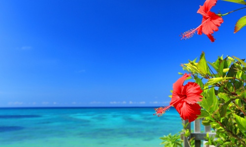 沖縄旅行遊びつくせ