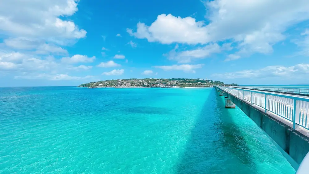 沖縄移住の真実