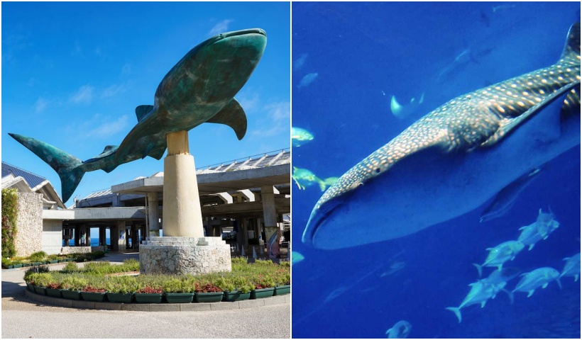 沖縄旅行おすすめスポット