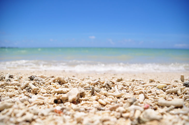 沖縄県民は沖縄の海に興味がない意外な理由