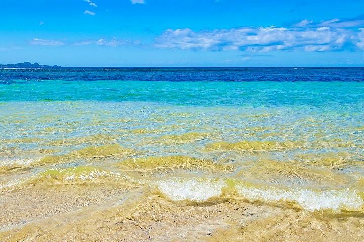 自民党大勝で幕を閉じた衆議院選挙なぜ、自民党がここまで圧倒できたのか