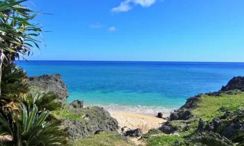 最高の癒しが醍醐味すぎて沖縄移住したくなる