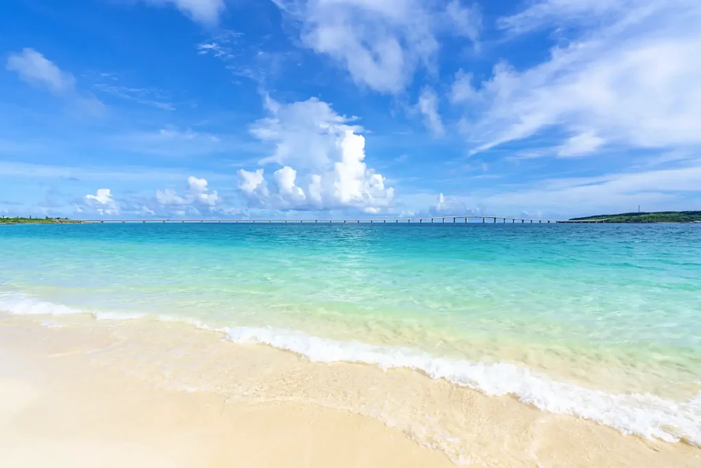 沖縄の冬は意外なほど寒い