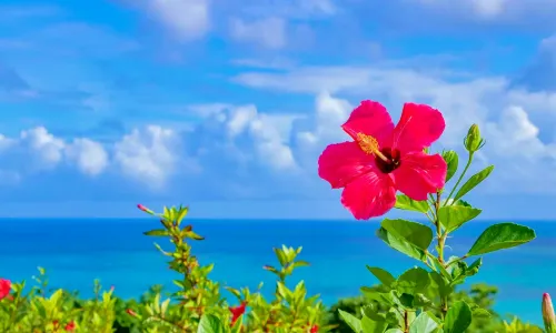 観光立県の沖縄が抱える貧困という課題