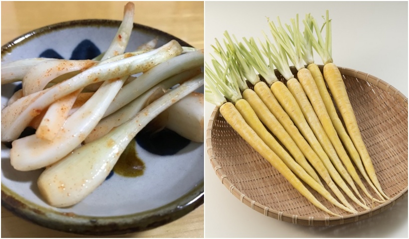 花粉症の新常識、沖縄は花粉症患者にとって究極の楽園だった