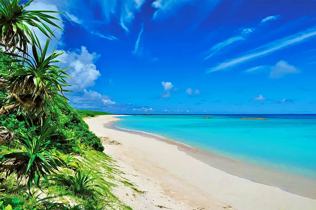 花粉症の新常識、沖縄は花粉症患者にとって究極の楽園だった