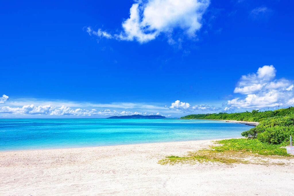 花粉症には沖縄