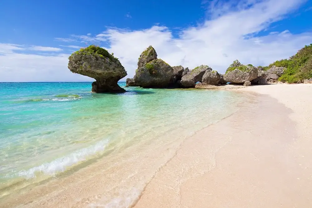 花粉症の新常識、沖縄は花粉症患者にとって究極の楽園だった